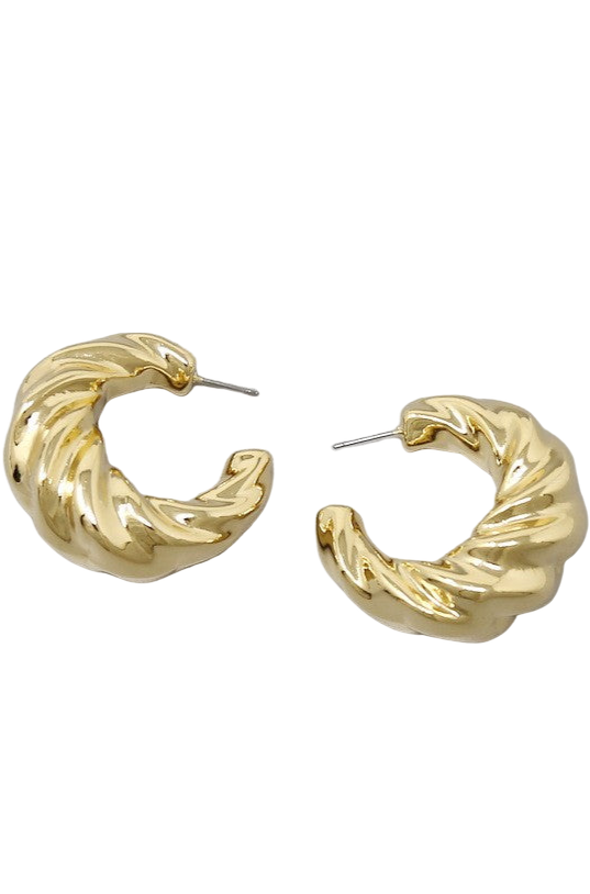 Croissant Twisted Hoop Earrings